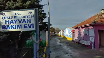 Çorlu Belediyesi Hayvan Barınağı fotoğrafı
