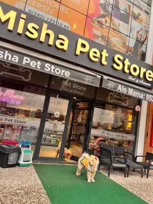 Misha Pet Shop Store (Pet Shop)