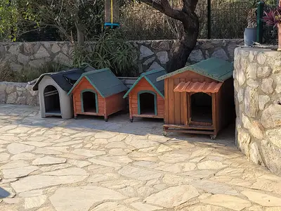 Köpek Barınağı fotoğrafı