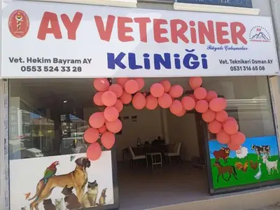 Veteriner Klinigi