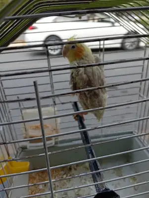 Atabey Pet Shop fotoğrafı