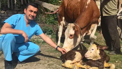 Kozvet Veteriner Kliniği