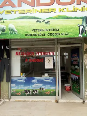 Pasur Veteriner Kliniği