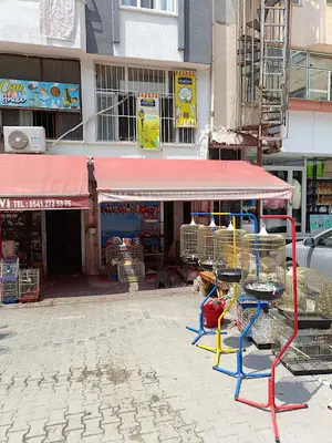 Akvaryum Dünyası 3