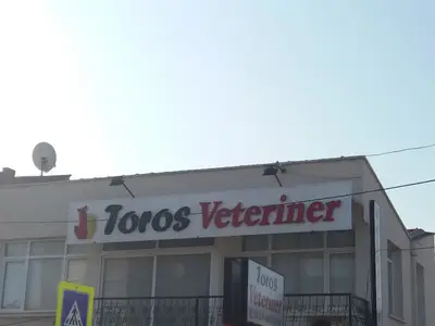 Toros Veteriner