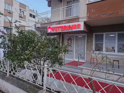 Akçay Veteriner Muayenehanesi