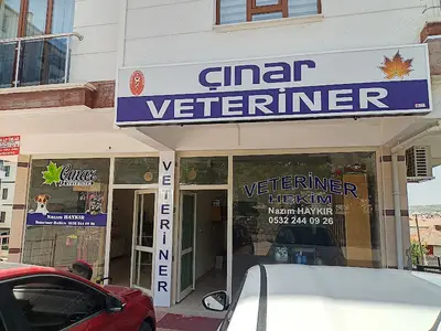 Elmadağ Çınar veteriner kliniği