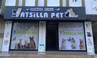 Veteriner Kliniği