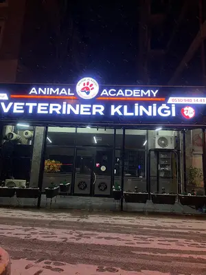 ANIMAL ACADEMY VETERİNER KLİNİĞİ KÖRFEZ