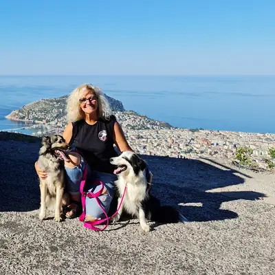 DOG TRAINING TURKEY
