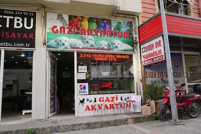 Dangaz Akvaryum