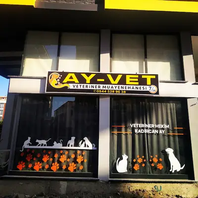 AY-VET VETERİNER MUAYENEHANESİ