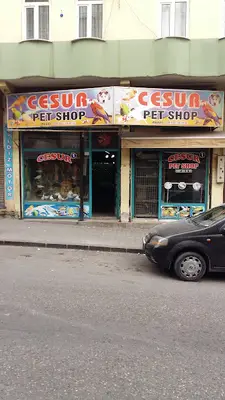 Cesur Petshop