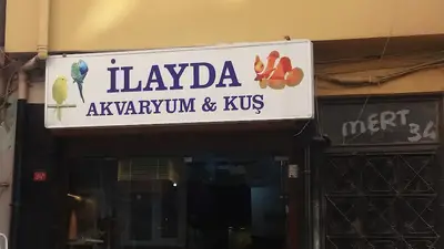İlayda Akvaryum & Kuş
