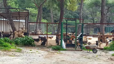 Hayvan Rehabilitasyon Merkez