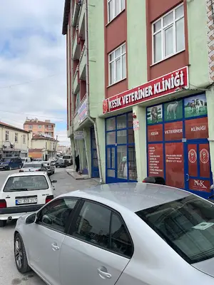 PAŞA VETERİNERLİK DENİZ ÇAKAR