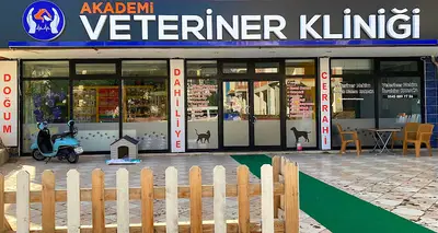 Alademi veteriner
