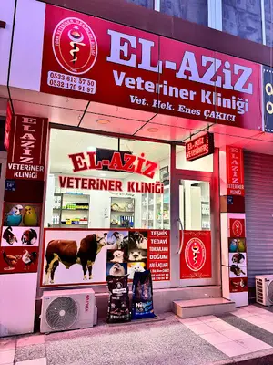 Akvet Veteriner Kliniği