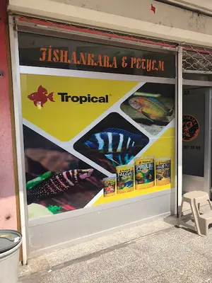 batıkent petshop fishankara&petyem