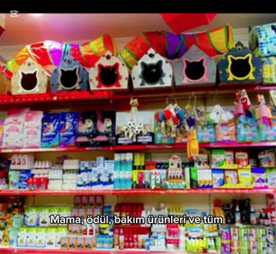 Petshop fotoğrafı