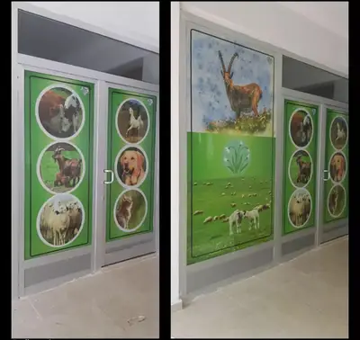 Vadi veteriner kliniği