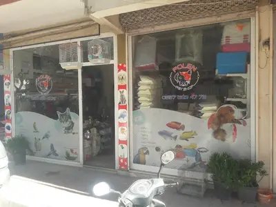 Polen petshop