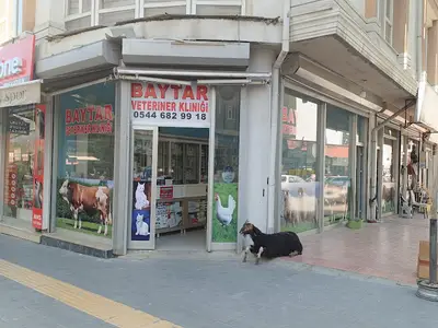 BIOWELLNESS HAYVAN SAĞLIĞI