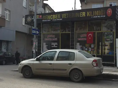 bicer veteriner
