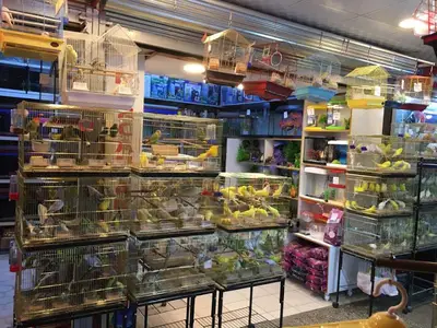 Mercan petshop