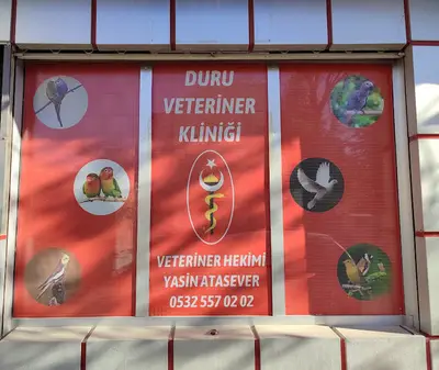 Derman veteriner kliniği