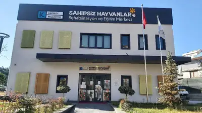 Kadıköy Belediyesi Sahipsiz Hayvanlar Rehabilitasyon Ve Eğitim Merkezi fotoğrafı