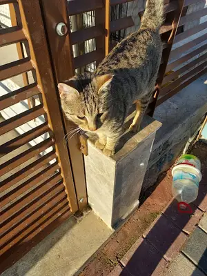 univet veteriner kliniği fotoğrafı