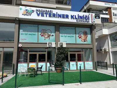 Masadağı Veteriner Kliniği Çankaya - Mazıdağı Veteriner - Çankaya Veteriner fotoğrafı