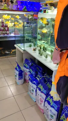 Atik-Han Petshop fotoğrafı