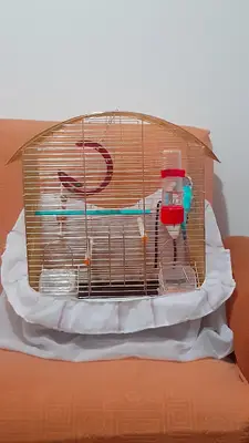 Gözde Veteriner Kliniği