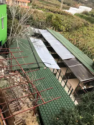 Mahmutlar Pet Pansiyon fotoğrafı