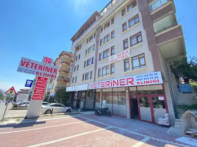Petlik Veteriner Kliniği