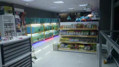 FABİ PETSHOP & AKVARYUM