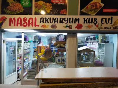 Masal Akvaryum Kuş Evi