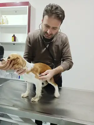Karamik Veteriner Kliniği