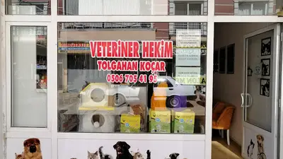 Veteriner Hekim Enes İlker Kılboz