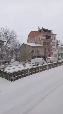Terlemez Veteriner Kliniği