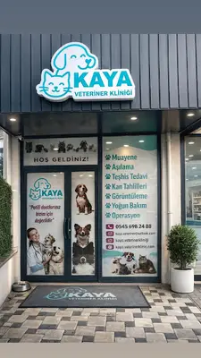 Kaya veteriner kliniği