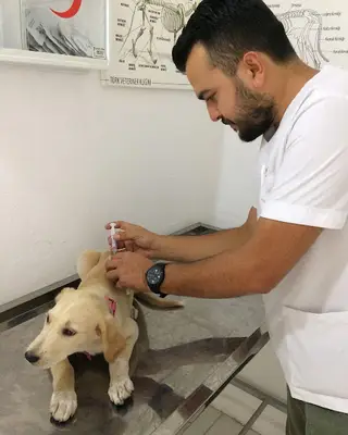 Uzaman Veteriner Kliniği