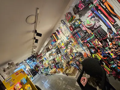 SAFE PET MARKET