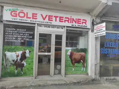 Yeşil göle veteriner kliniği