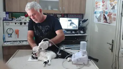 Uzman Veteriner Kliniği