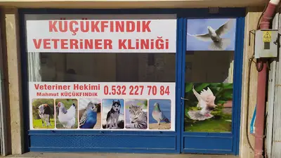 Küçükfındık Veteriner Kliniği fotoğrafı