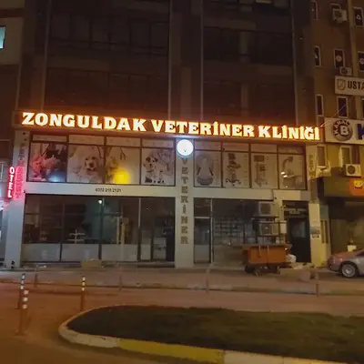 Zonguldak Belediye Veterineri