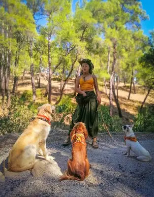 Antalya Köpek Eğitmeni /Nagehan Pazar